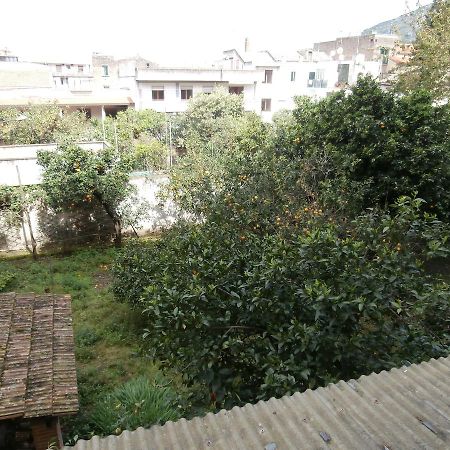 B&B Maria Grazia Piano di Sorrento Dış mekan fotoğraf